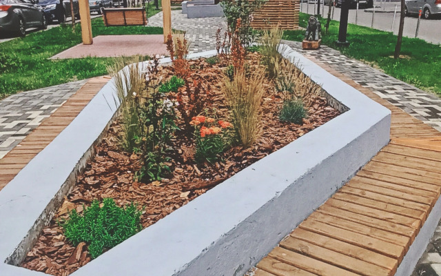 Квартира Гостевые квартиры Алеся с видом на лес и пруд