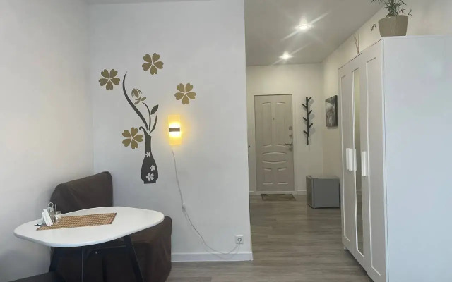 Studiya S Otdelnoy Kukhney Flat