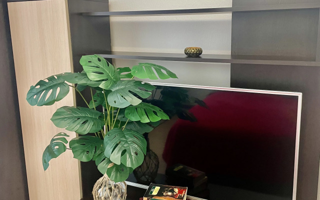 Krasivaya Studiya S Balkonom Flat