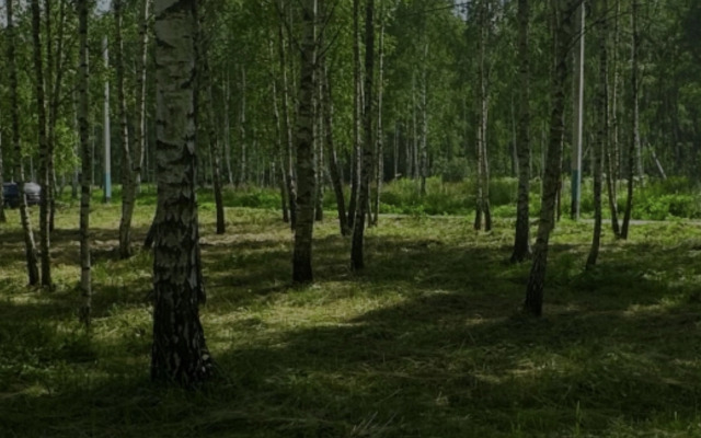 Частный дом Лесной Остров