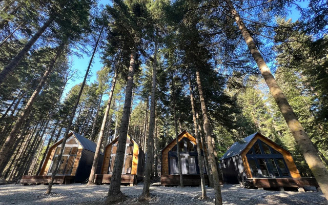 Barn&wood Hotel
