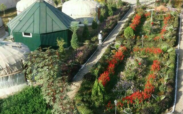 Хостел Kitob Sayyoh