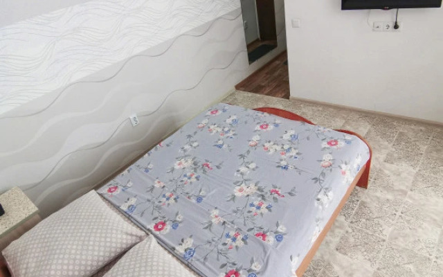 Апартаменты Апарт38 (2)