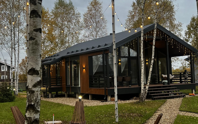 Частный дом в березах