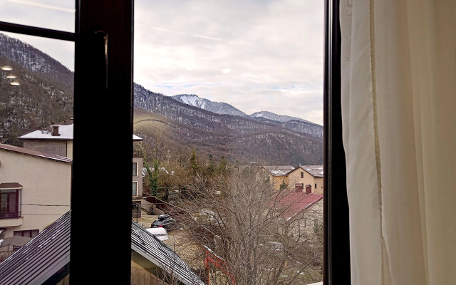 Апартаменты двухкомнатные Панорамный вид на горы