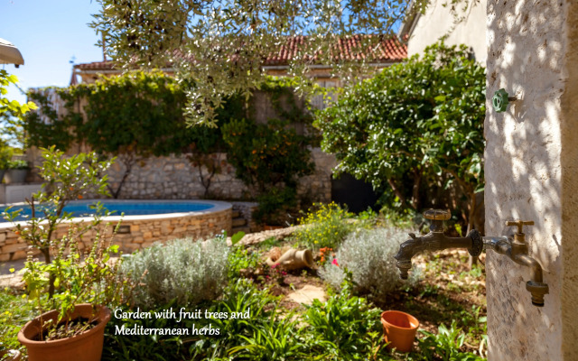 Traditional Stone Vicina Milna Brac Island Villa