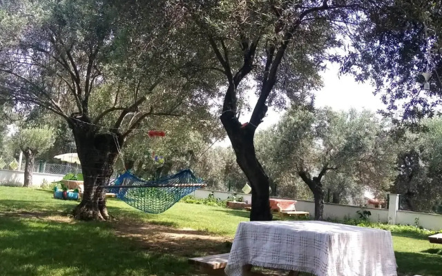 Yazduf Family Holiday Homes