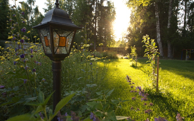 Гостевой Дом Вырицкий Мамонт