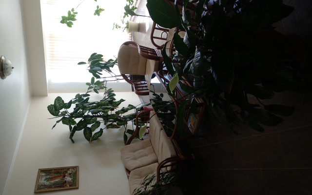 Svetlana Guest House