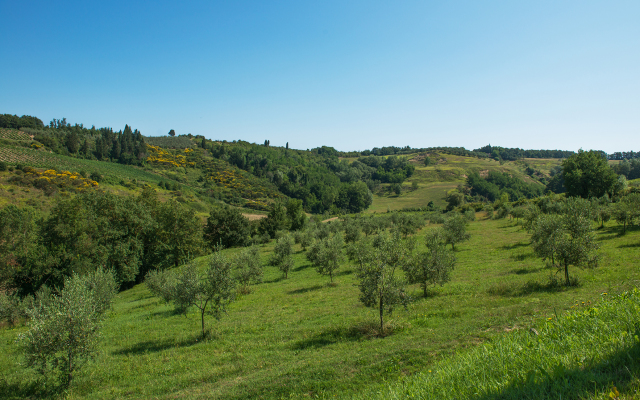 Отель Relai Sassa al Sole