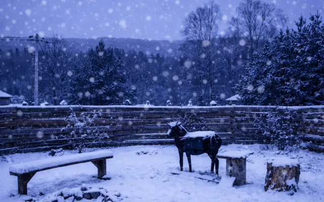 Частный дом Барнхаус "Зима"