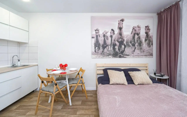 Апартаменты Комфортабельная Студия от собственника на Радуге Сибири