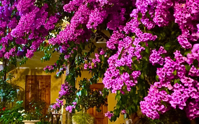 Гостевой дом Луиза