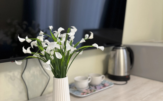 Triumf Hotel