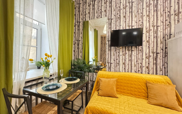 Квартира студия на Пестеля 22кв