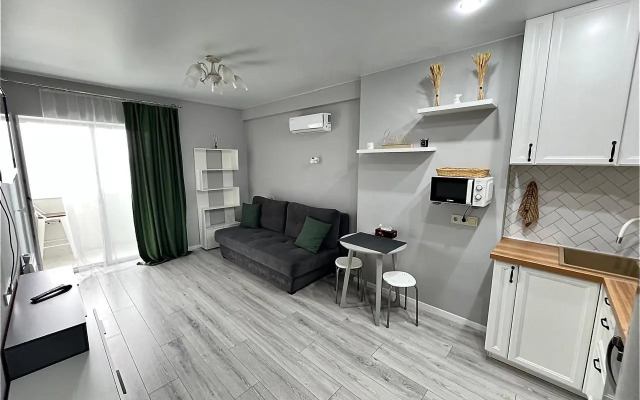 S Vidom na Gorod na Kaplunova 10 Flat