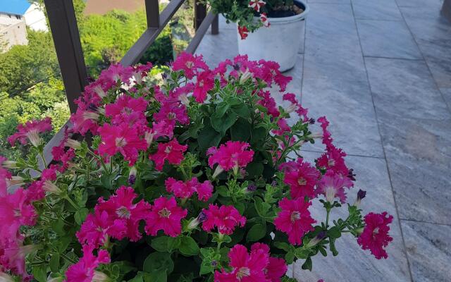 Гостевой дом Панорама Сочи