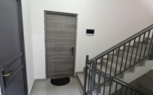 Comfort With Green Refreshing Interior Apartments