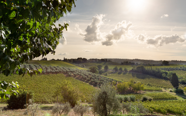 Вилла nel Chianti A casa di Franca
