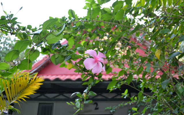 Nature Boutique Residence Villa