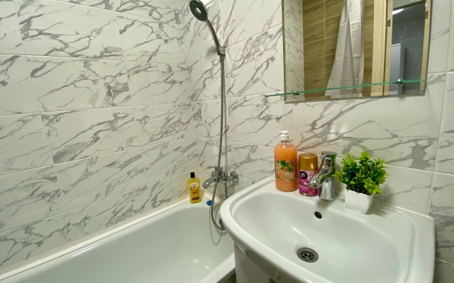 Kvartira v Tsentralnom Rayone Goroda Flat