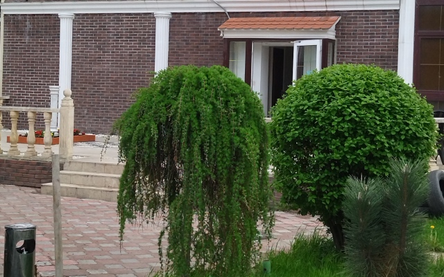 Отель Garden