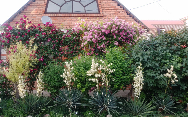 U Nas Kak Doma Guest house