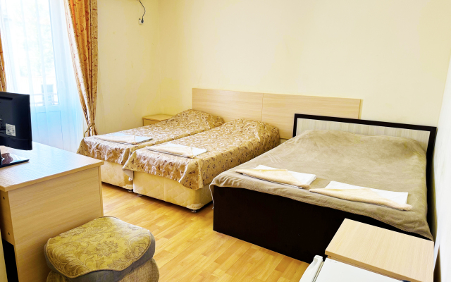 Pushkin Hotel