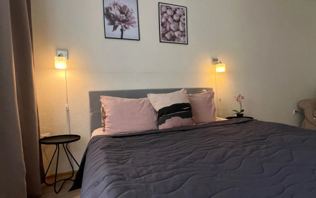 Uezdny Pr. D11, 8 Etazh  Apartments
