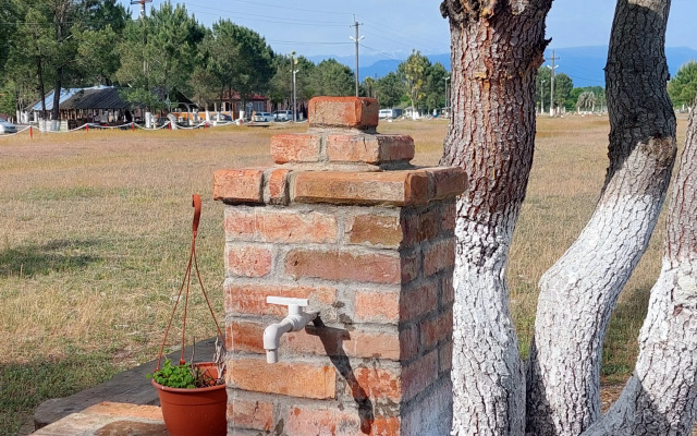 Sosnovy Bor Resort