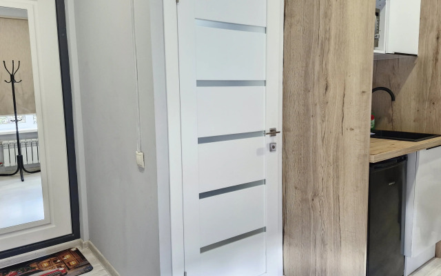 Komfortnye apartamenty v tsentre Moskvy Apartments