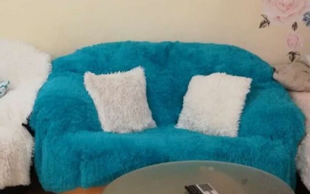Ekologichnaya CHetyrekhkomnatnaya V Tsentre Flat