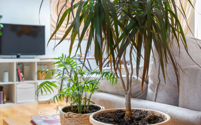 Апартаменты Мансарда Рядом с Красной Площадью