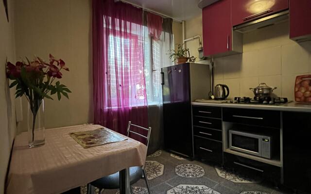 Na Privokzalnoy Apartments