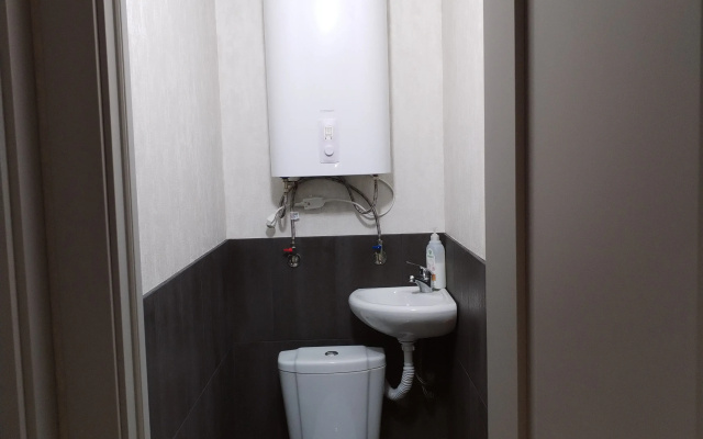 Kvartira v centre goroda s novym remontom