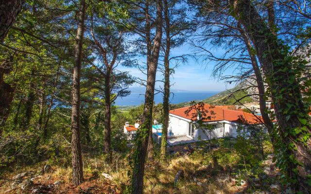 Prestige Villa Guesthouse