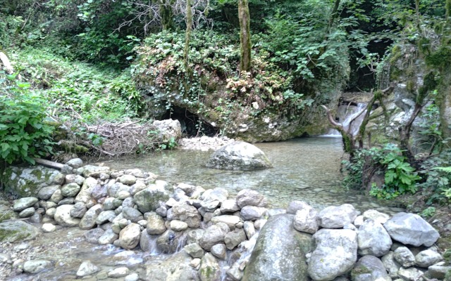 Uschelye Gagripsh Hotel