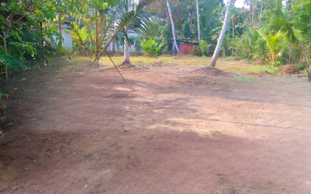 Thachattu Homestay Lodging house
