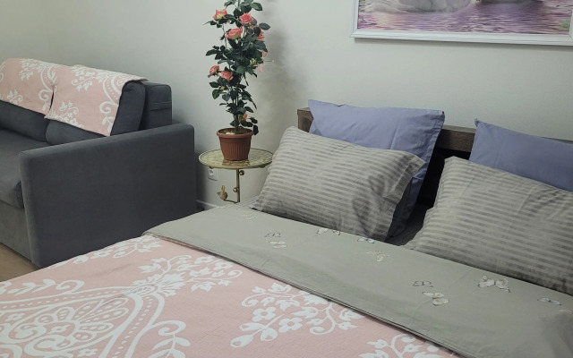 Квартира в центре