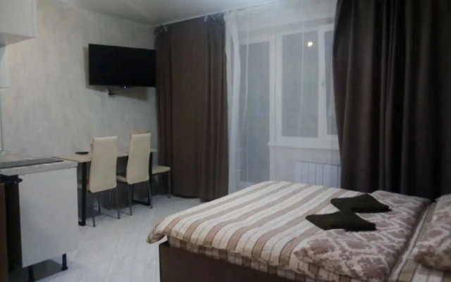 Studio na ulice Raketnaya 17 Apartments