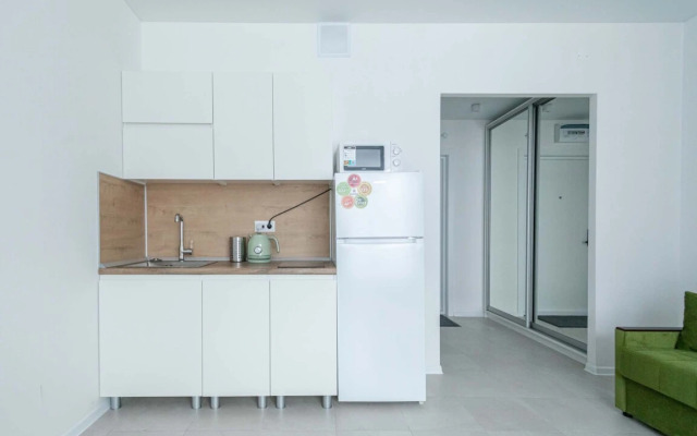 Apartments Standartnye S Domashnim Kinoteatrom V Zhk Ilyinskie Luga