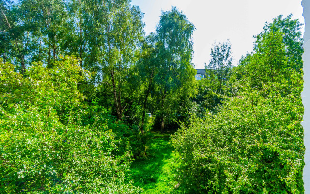Dvukhkomnatnye V Rybnoy Derevne U Domika Smotritelya Apartments