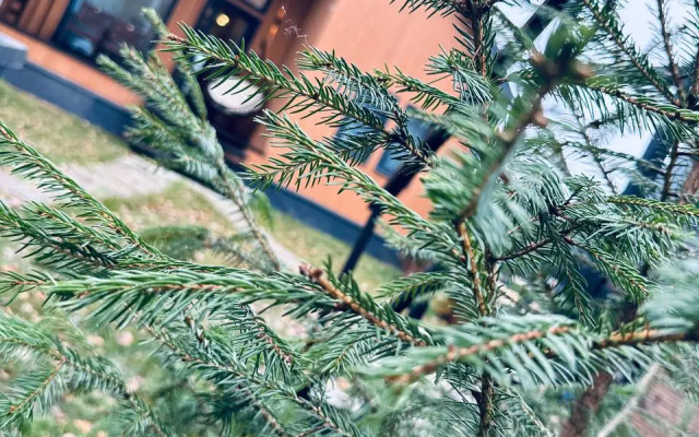 Частный Дом Барнхаус №2 на 10 гостей, с дровяной баней и горячим чаном