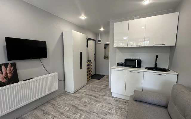 Квартира Студия Курортный Проспект