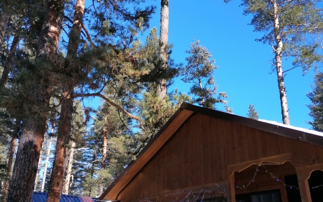 Шале Лес хрустальной песни