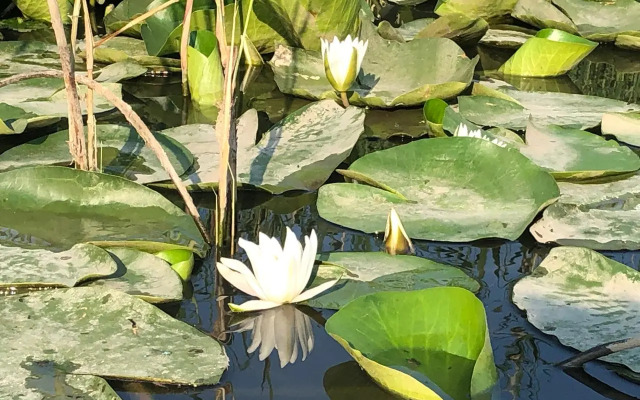 Гостевой дом у Макса