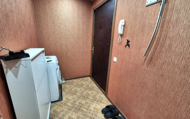 Uyutnaya V Tsentre Koroleva Flat