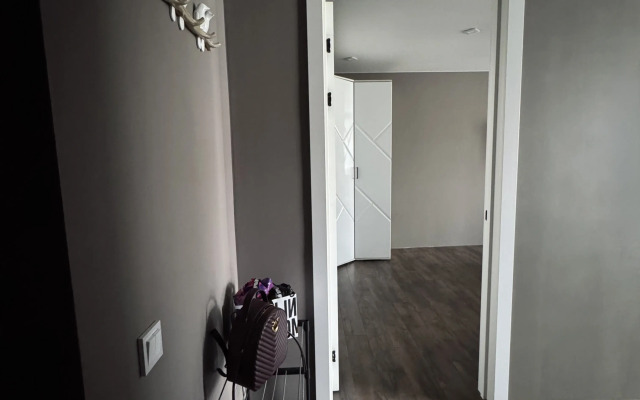 Апартаменты в центре города с видом на сопки