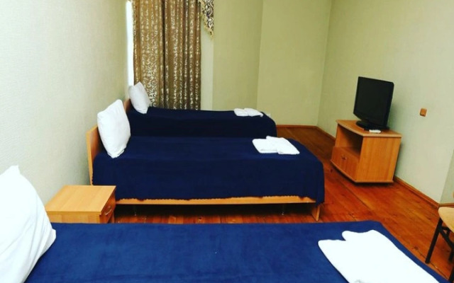 Arena Zagatala Hotel