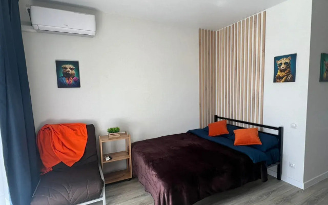 Квартира Студия с Бacсeйном в ЖК Кипарис 336